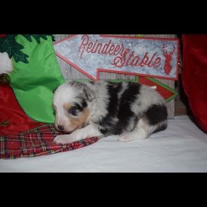 Meet your Posher, Julia